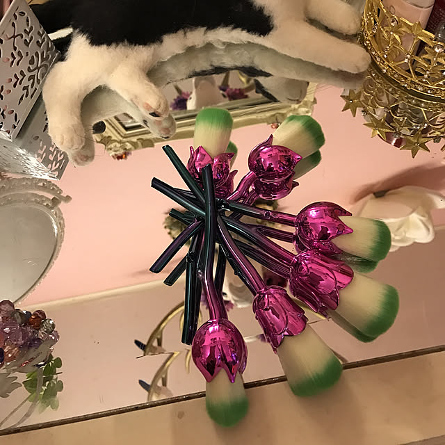 Elinさんの実例写真