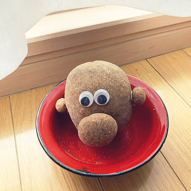 helmet_obake_chanさんの実例写真