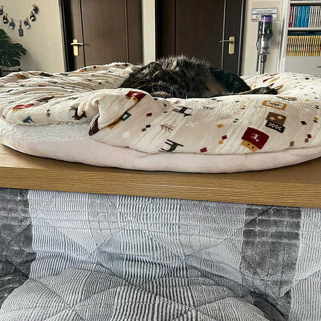 momocchiさんの部屋