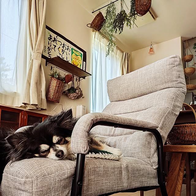 umeboshicyanさんの実例写真