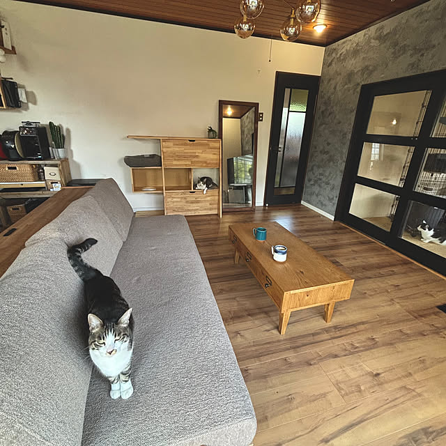 Yukinekoさんの部屋