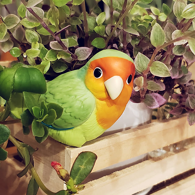 masumiさんの実例写真