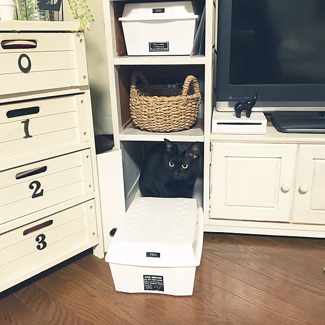 mahi1101さんの実例写真