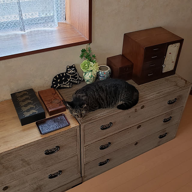 Mayumi8888さんの実例写真