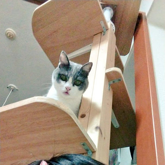 Manamiさんの実例写真