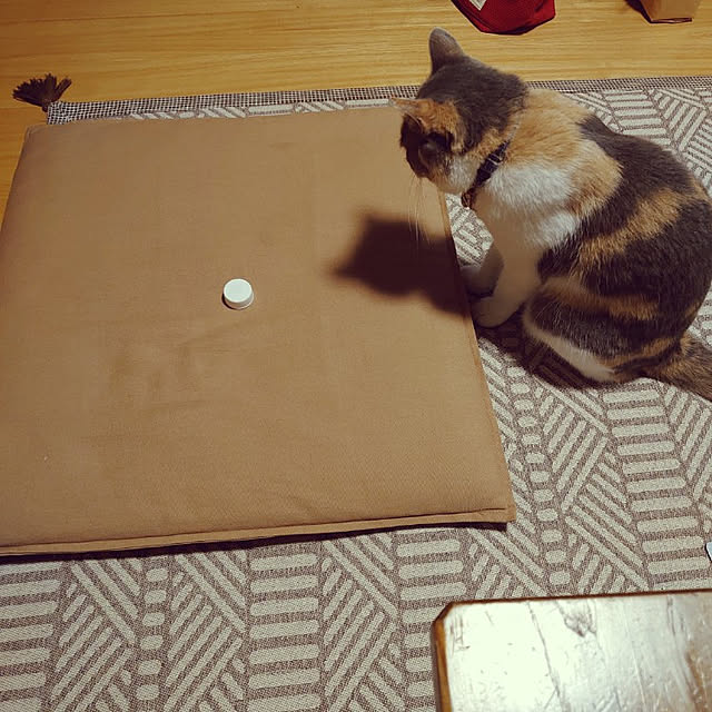 fukuさんの実例写真