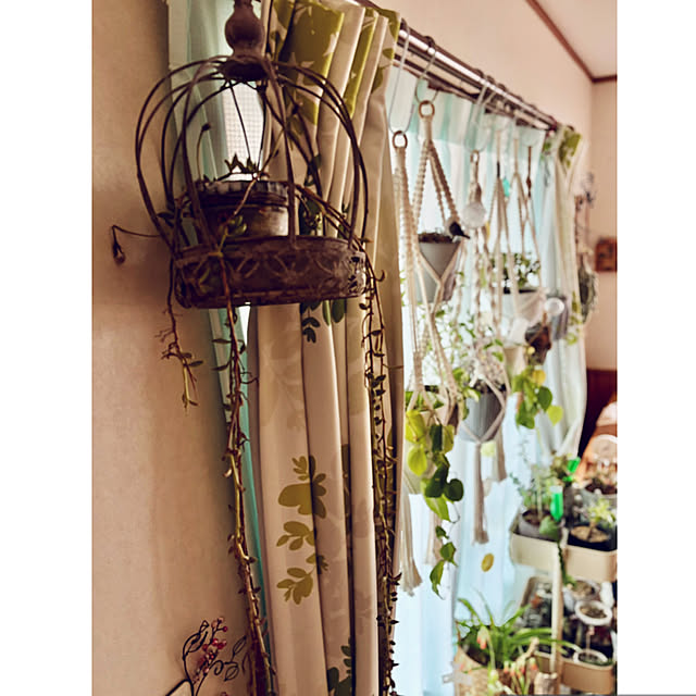 CoCo0617さんの部屋