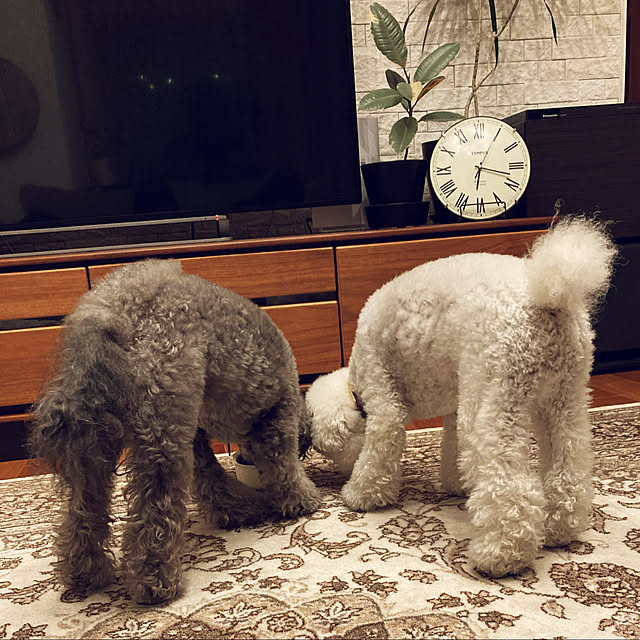 matthewさんの実例写真