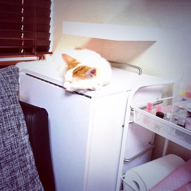 ayuyoshiさんの実例写真