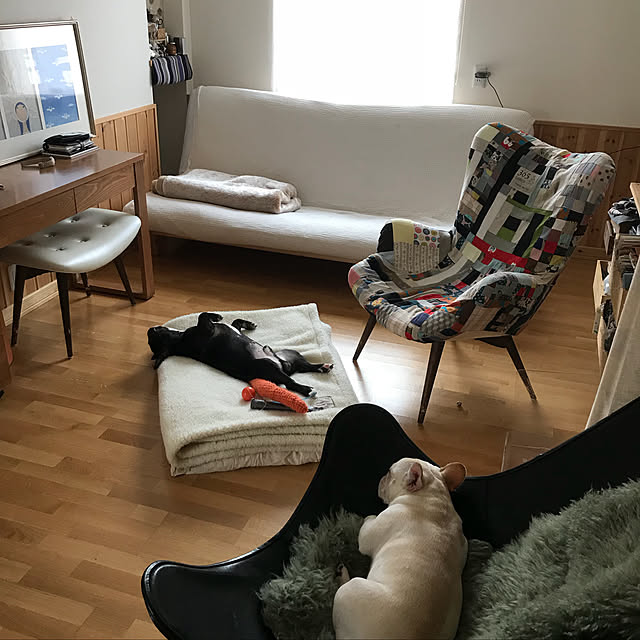 Ayakoさんの実例写真