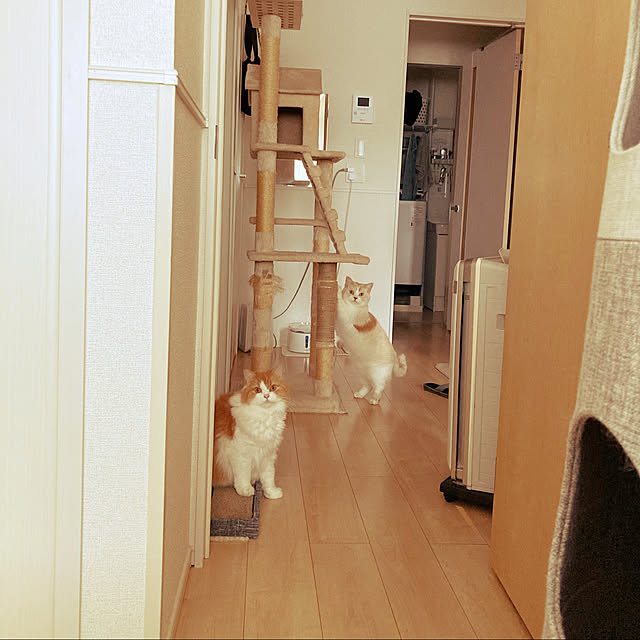 H.Tさんの実例写真