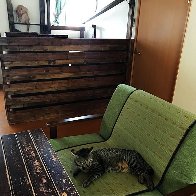 mikan161さんの実例写真