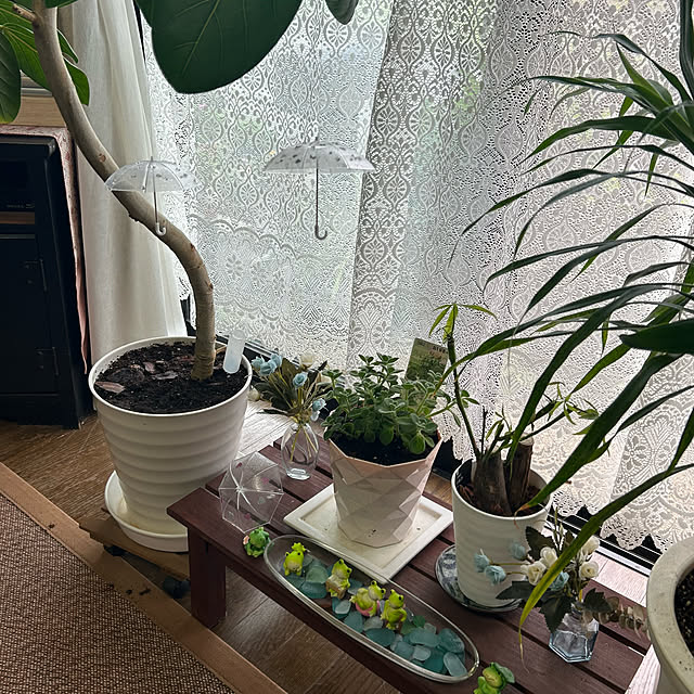 ritsukoさんの部屋