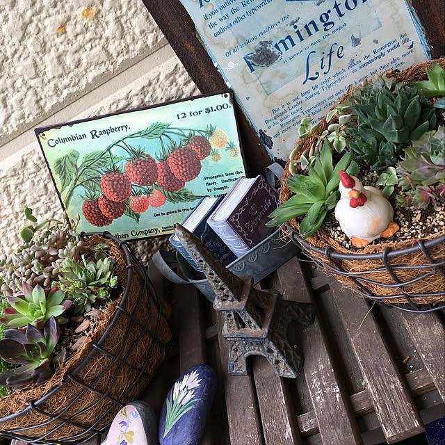 junjunさんの実例写真
