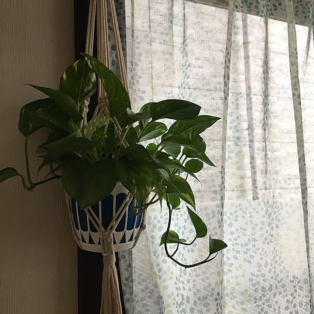 mamaさんの実例写真