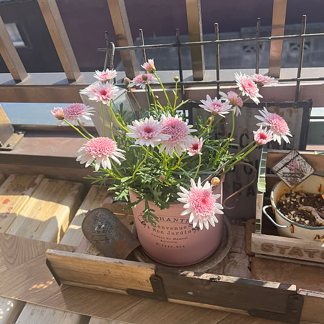 icietlaさんの実例写真