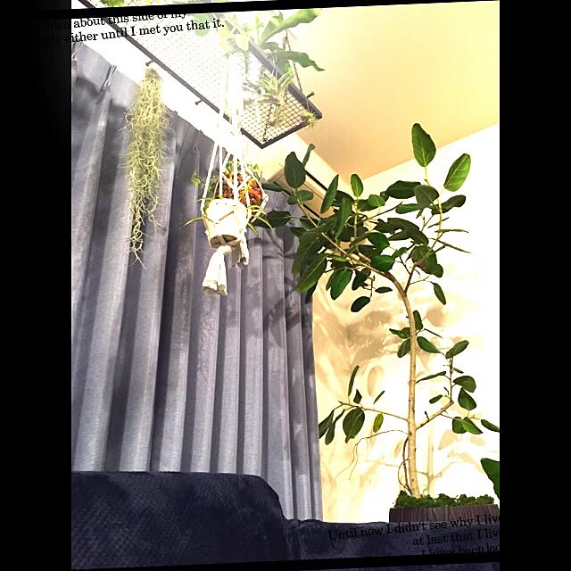 skyさんの実例写真