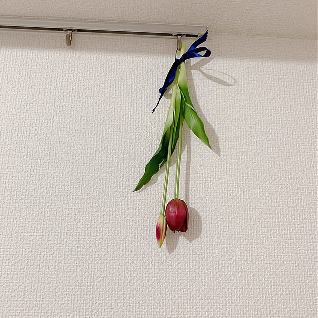 mopuさんの実例写真