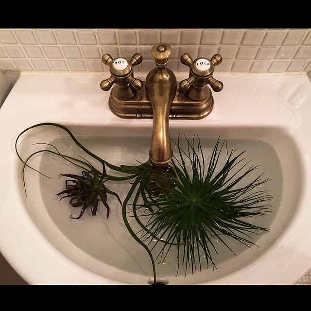 kurobarさんの実例写真