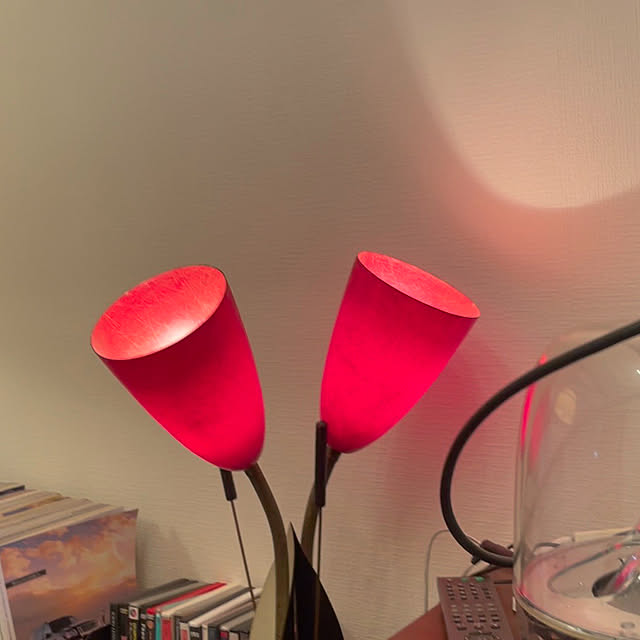 spaceagepunksさんの実例写真