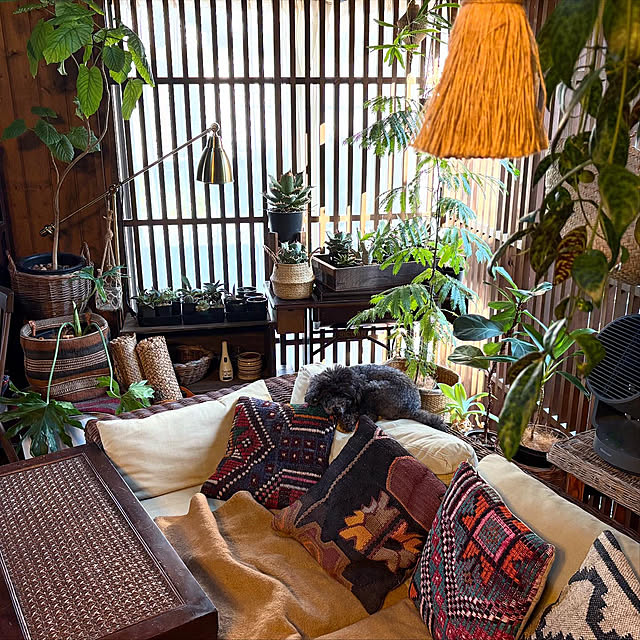 kinari.akariさんの部屋