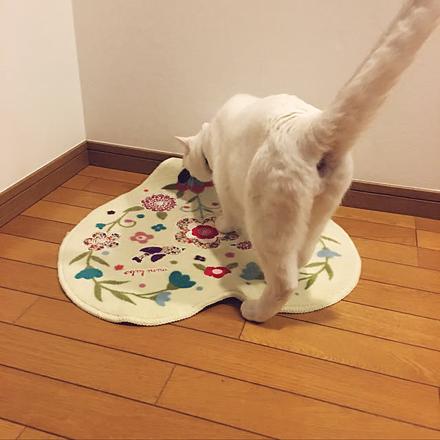 tekokaasanさんの実例写真