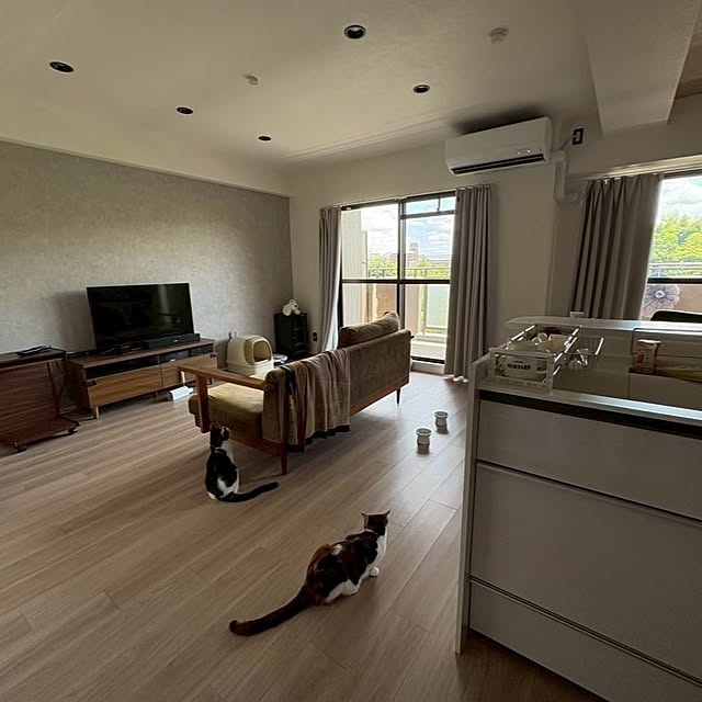 sinsinさんの部屋