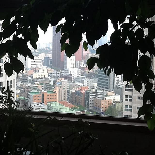 壁/天井のインテリア実例 - 2012-05-13 14:26:49