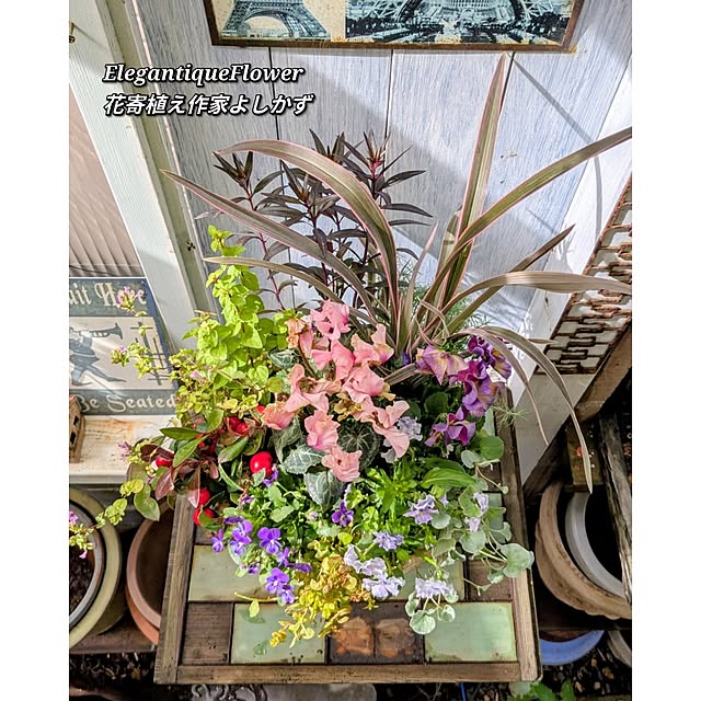 ElegantiqueFlowerさんの部屋