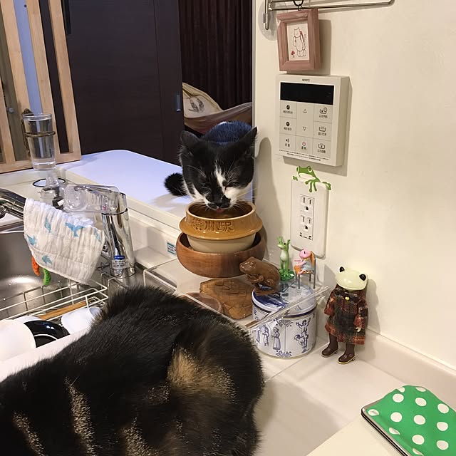 mikomaruさんの実例写真