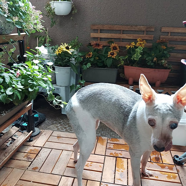 nobuさんの実例写真