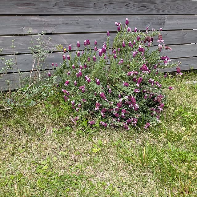 Ruii25さんの部屋