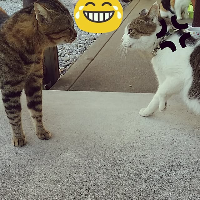 lemoned1126さんの実例写真