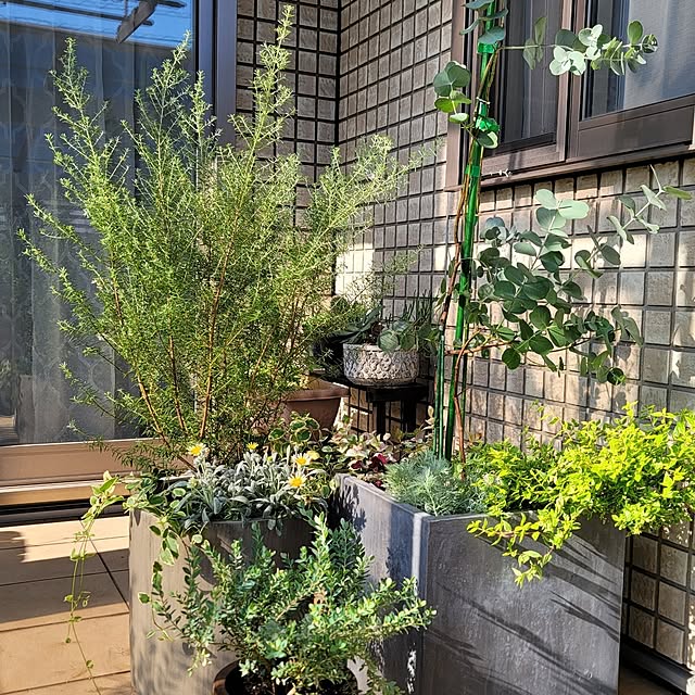 JASMINEさんの部屋