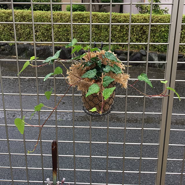 sanw2225719さんの実例写真