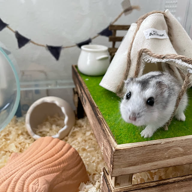 yoshimiさんの実例写真