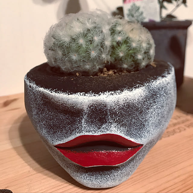 Satokoさんの実例写真
