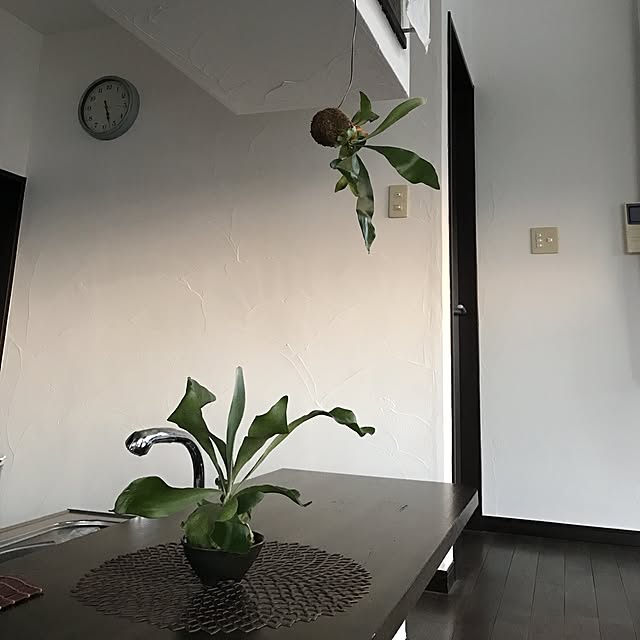 taguさんの実例写真