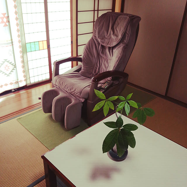 部屋全体/観葉植物のある部屋/パキラ成長中/ダイソーのパキラ/ニトリの壁掛け...などのインテリア実例 - 2020-07-16 10:08:00