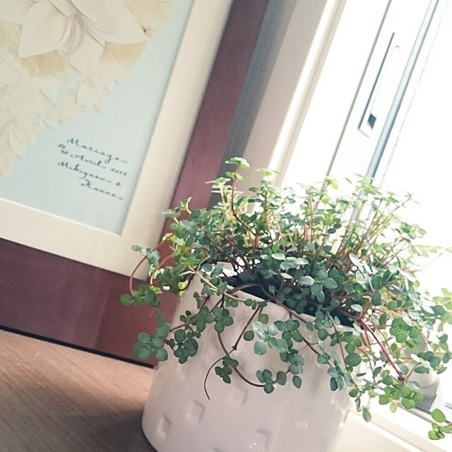 kanoさんの実例写真