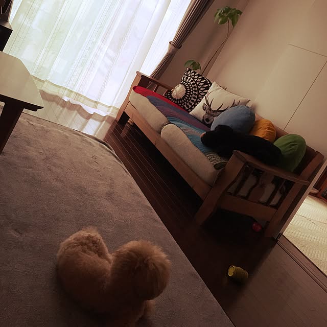 miruさんの実例写真