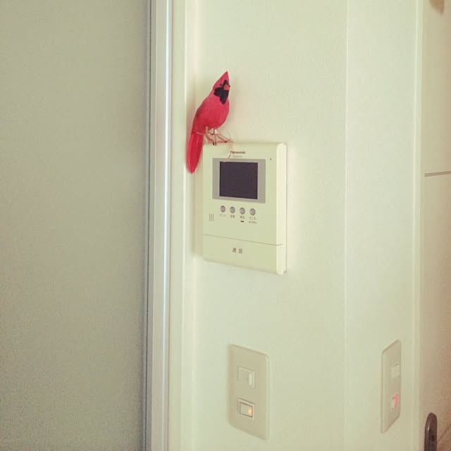 kukuruさんの実例写真