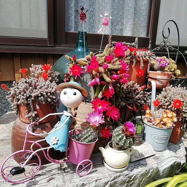 haruiroさんの実例写真