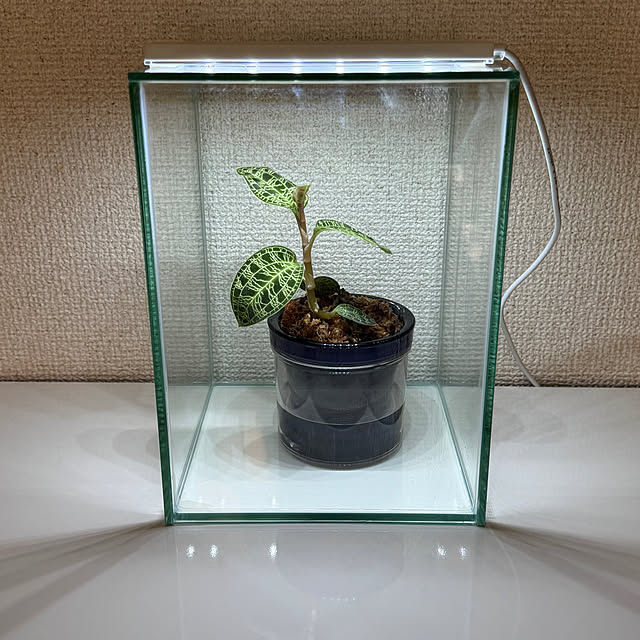 Emafuさんの部屋