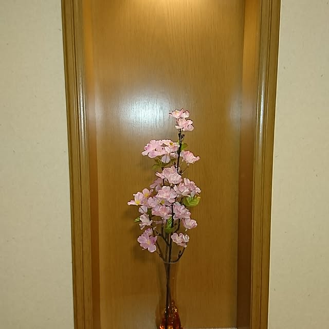 棚のインテリア実例 - 2017-03-03 06:59:06