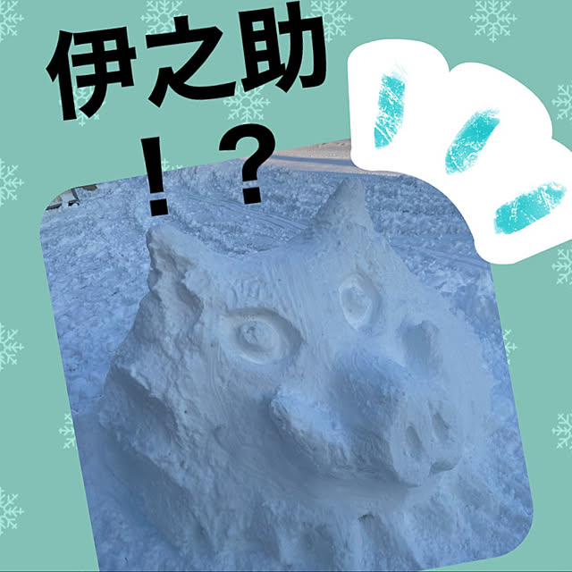 ikさんの実例写真