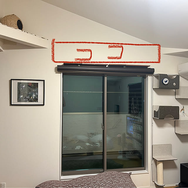 bzreikoさんの部屋