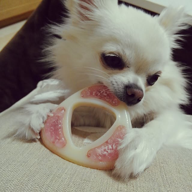 okuriさんの実例写真