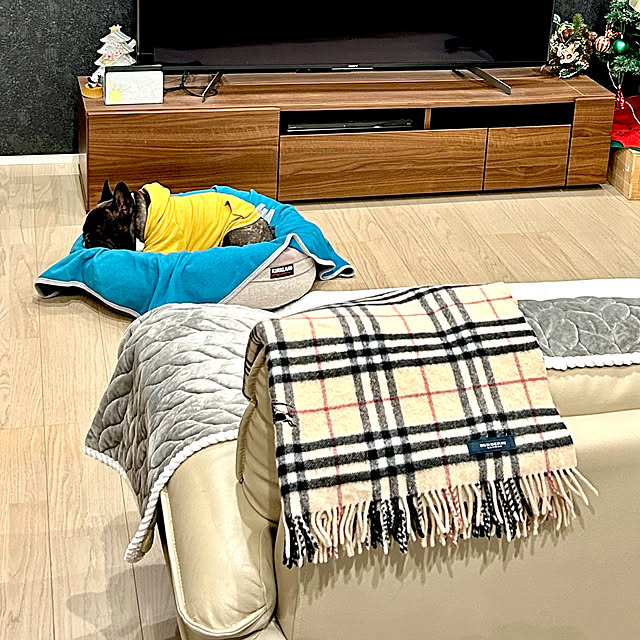 sukemamuさんの実例写真