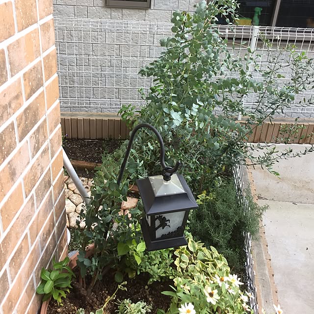 pikarunさんの実例写真